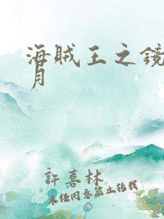 海贼王之镜花水月