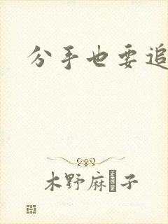 分手也要追你