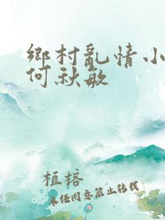 乡村乱情小雷操何秋敏