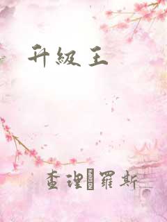 升级王