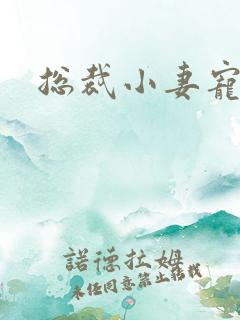 总裁小妻宠上天