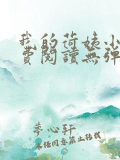 我的荷姨小说免费阅读无弹窗