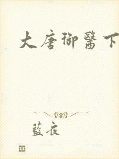 大唐御医下载