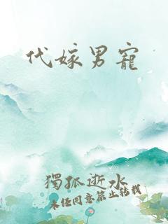 代嫁男宠