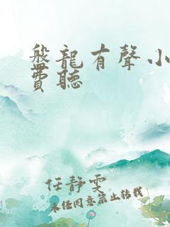 盘龙有声小说免费听