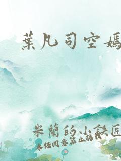 叶凡司空嫣然