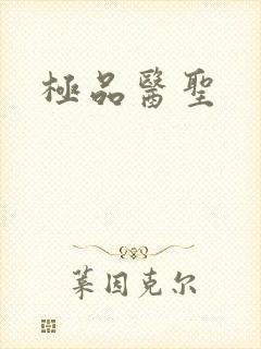 极品医圣
