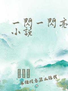 一闪一闪亮晶晶小说