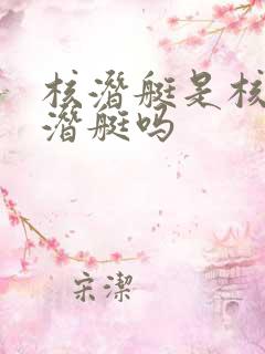 核潜艇是核动力潜艇吗