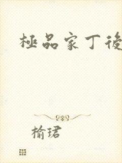 极品家丁后传
