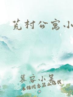 荒村公寓小说