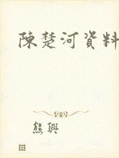 陈楚河资料