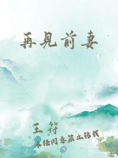 再见前妻