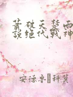 萧破天楚雨馨小说绝代战神