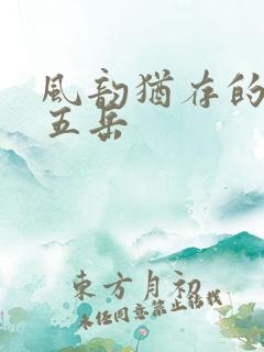 风韵犹存的四十五岳