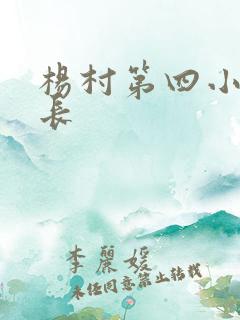 杨村第四小学校长