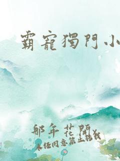 霸宠独门小娇妻