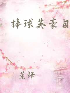 棒球英豪目录