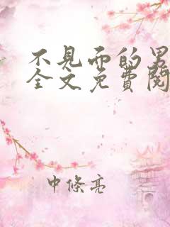 不见面的男朋友全文免费阅读