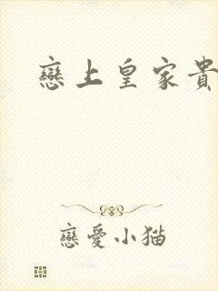 恋上皇家贵公主