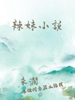 辣妹小说