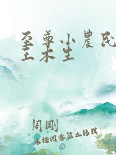 至尊小农民小说王木生