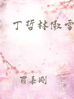 丁哲林傲雪小说