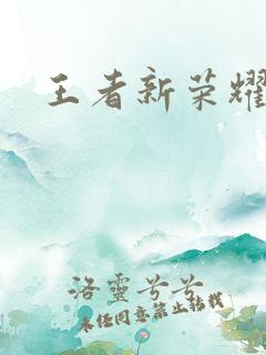 王者新荣耀典藏