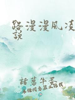 路漫漫风凌轩小说