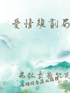 爱情规划局