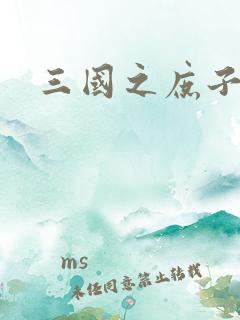 三国之庶子称雄