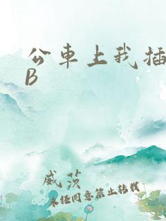 公车上我插上骚B