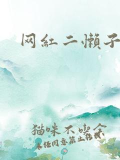 网红二懒子车祸