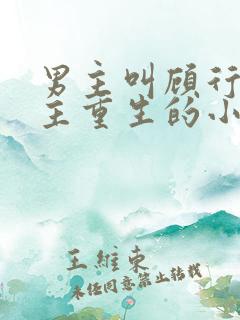 男主叫顾行渊女主重生的小说