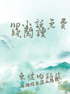 np小说免费在线阅读