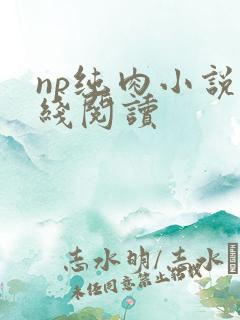 np纯肉小说在线阅读