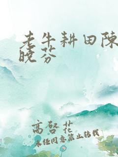 老牛耕田陈雪杨晓芬