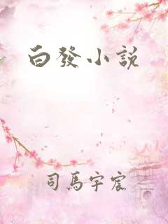 白发小说