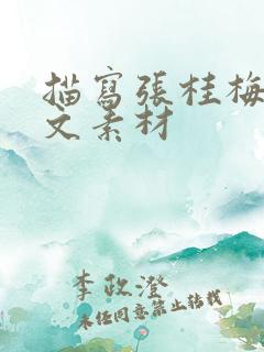 描写张桂梅的作文素材