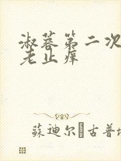 淑蓉第二次找卫老止痒