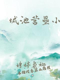 城池营垒小说
