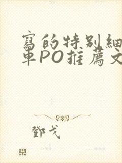 写的特别细的开车PO推荐文多人