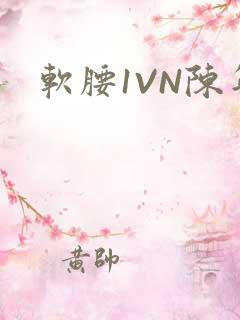 软腰1VN陈年