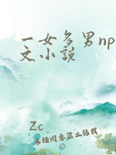 一女多男np爽文小说