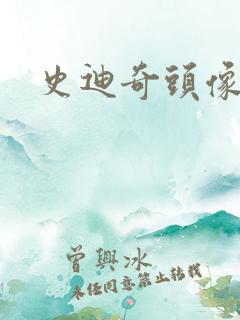 史迪奇头像