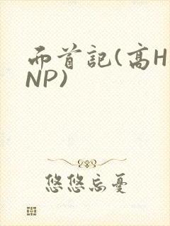面首记(高H NP)