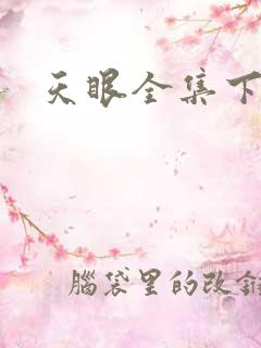 天眼全集下载