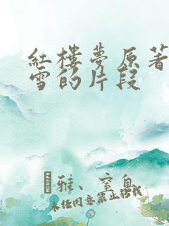红楼梦原著中写雪的片段