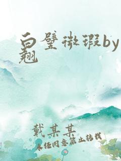 白璧微瑕by连翘