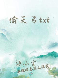 偷天弓txt